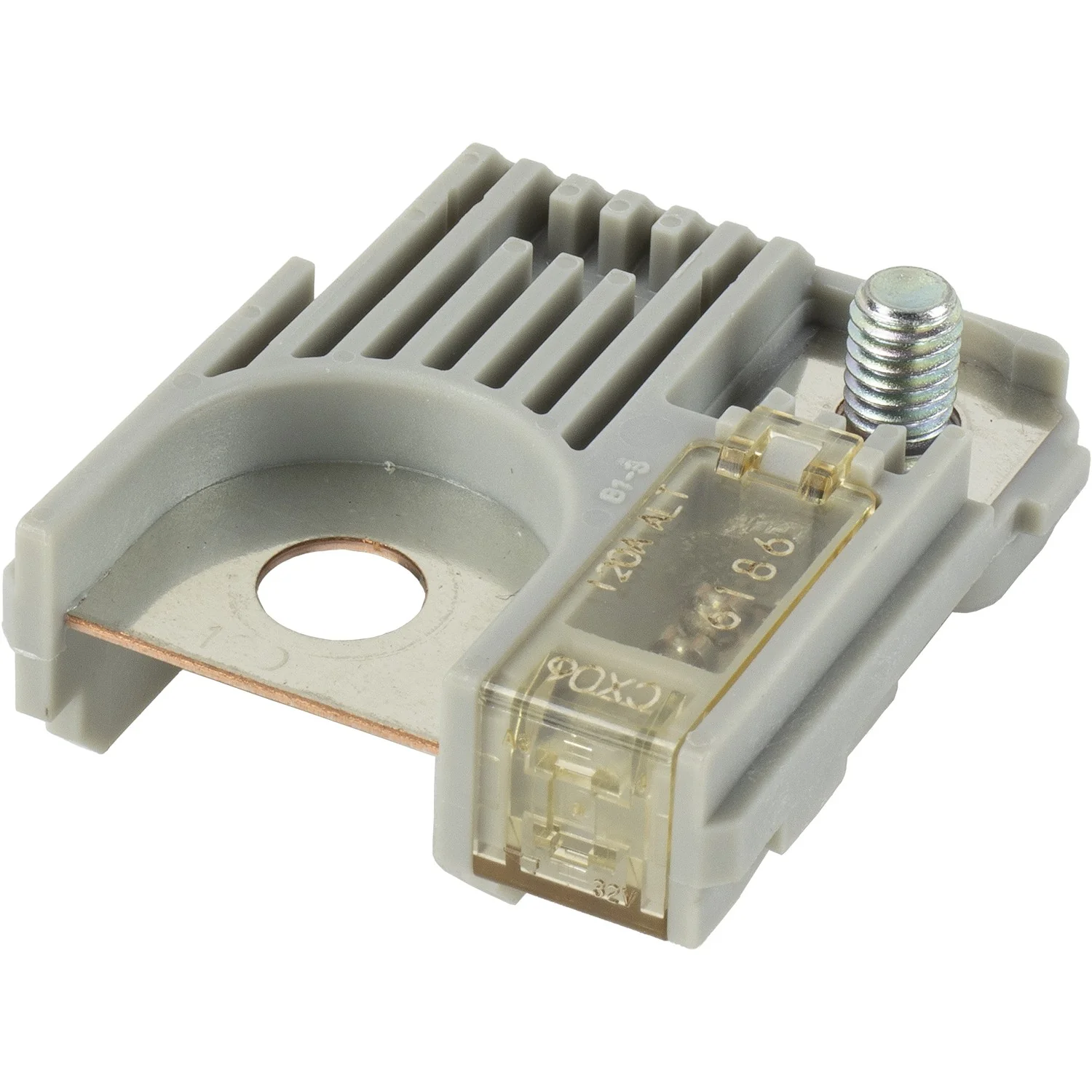 Global Parts 1912062 Multi-Purpose Fuse