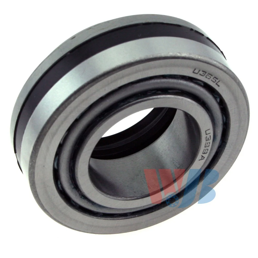 InMotion WTA20 Wheel Bearing and Race Set - Rear